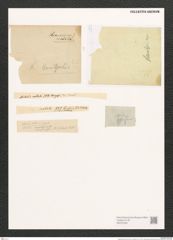 Diatomeae indet. (de-Toni-Nr.: Species 2137, 2138 ?) Zeichnungen Sammlung Grunow (NHMW-BOT-W0372406)